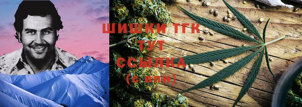 СК Надым