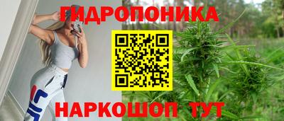 сатива Беслан