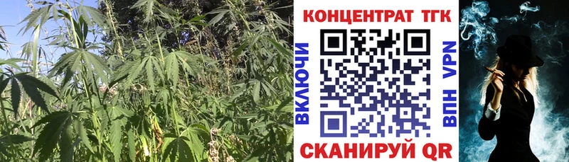 Дистиллят ТГК Wax  Великий Новгород 