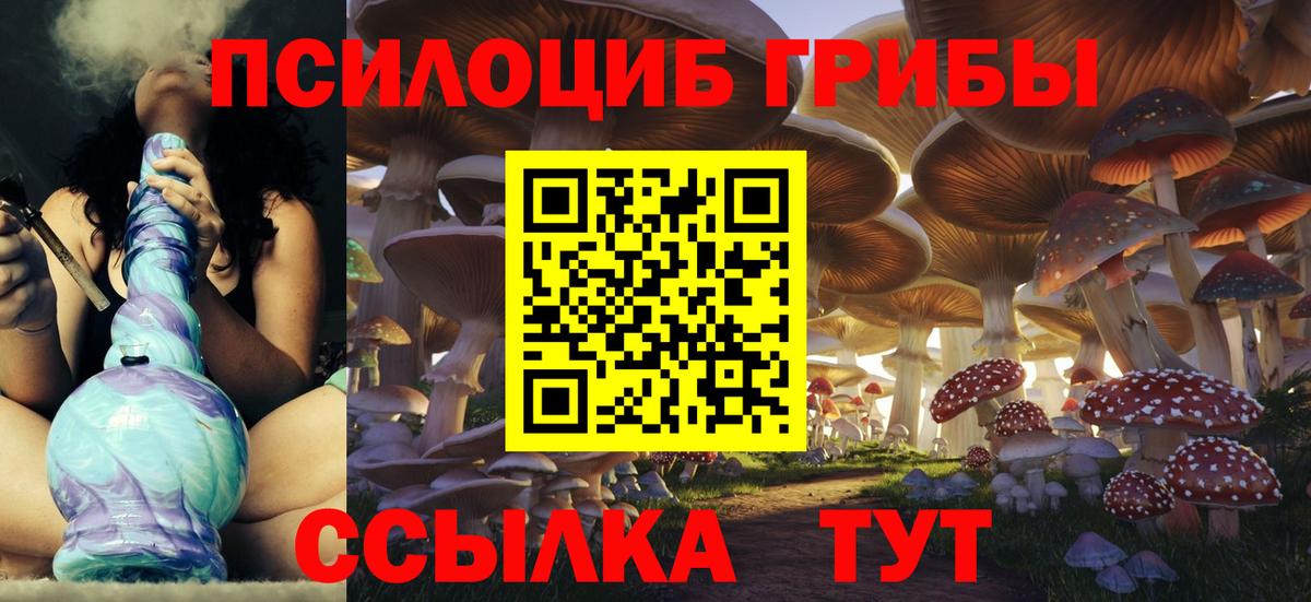 где продают   Вход с VPN  Псилоцибиновые грибы мицелий  Великий Новгород  Псилоцибиновые грибы MAGIC MUSHROOMS 