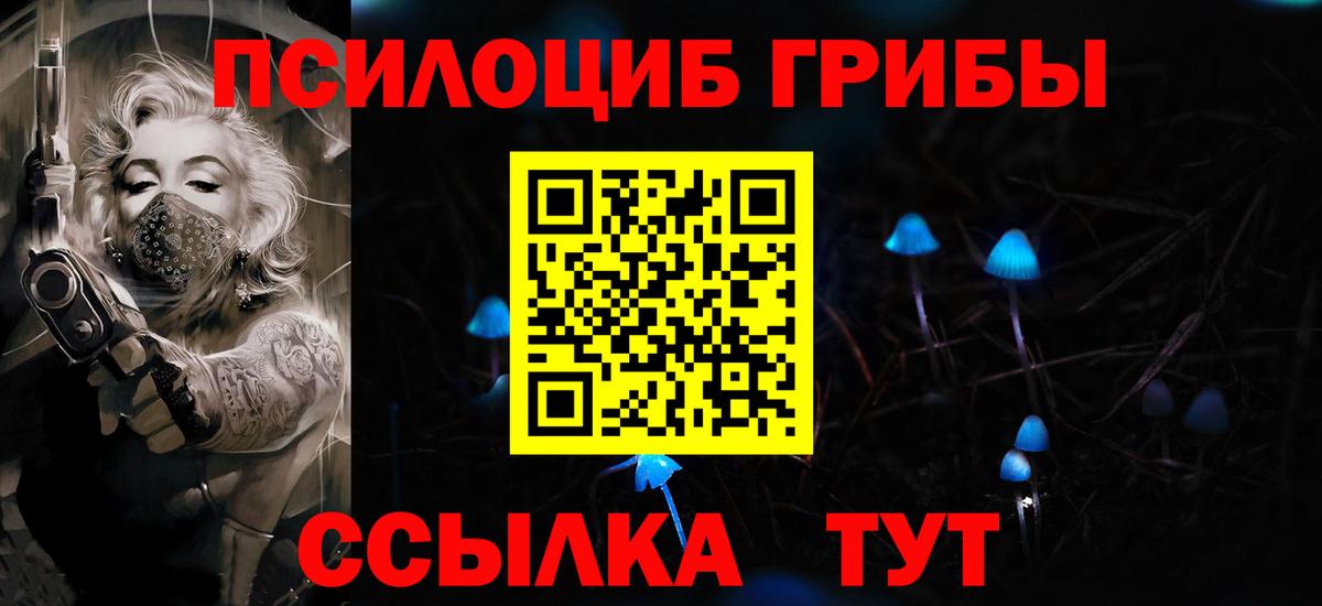 Псилоцибиновые грибы мицелий Великий Новгород